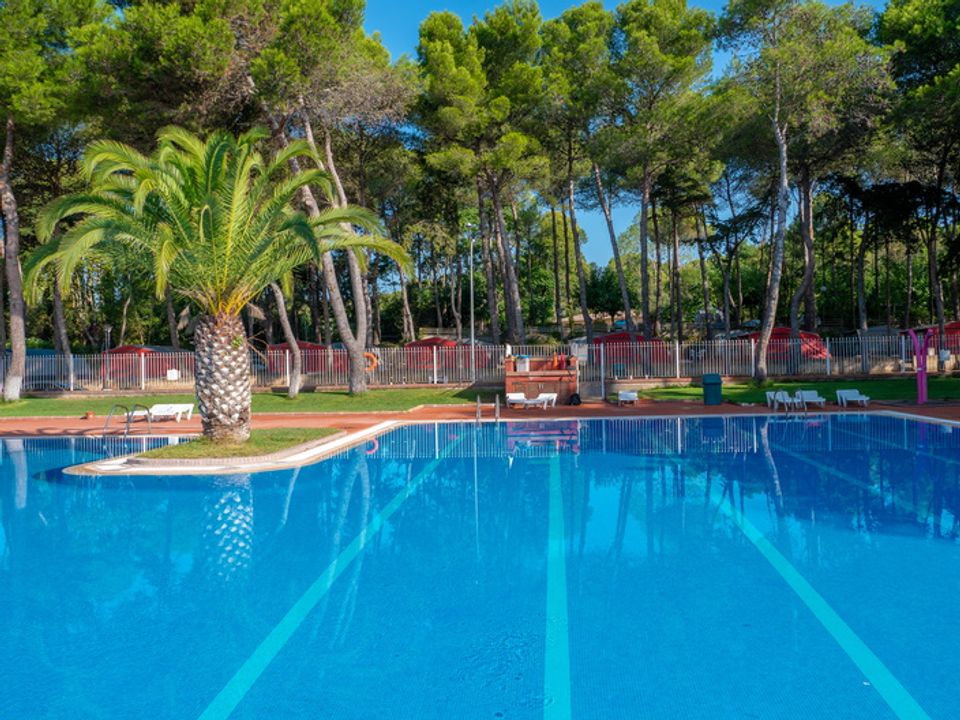 Camping Santa Elena Ciutat - Camping Girona