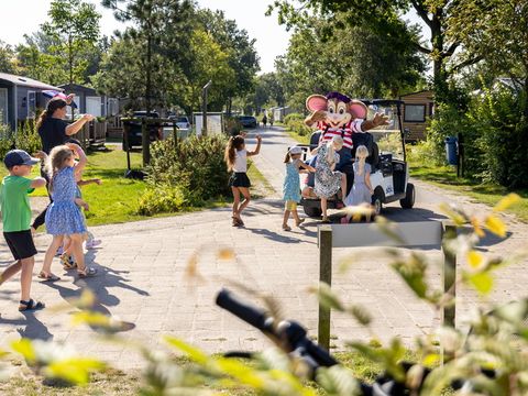 Siblu Camping Lauwersoog - Das Hochland