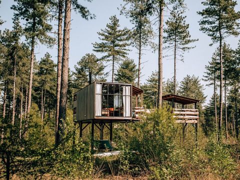 Warredal - Camping Belgisches Limburg - Image N°0