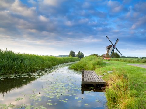 Landal Landgoed Bourtange - Camping Westerwolde - Image N°3