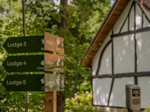 Woodz Lodges  - Belgisches Limburg - Image N°12