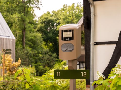 Woodz Lodges  - Belgisches Limburg - Image N°11