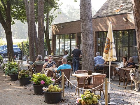 Camping Zavelbos - Belgisches Limburg