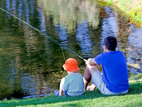 Camping Zavelbos - Camping Belgisches Limburg - Image N°4