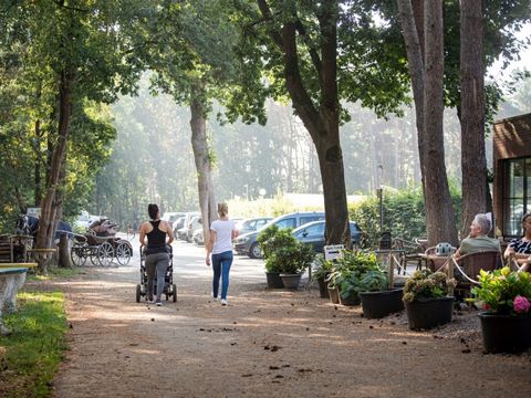 Camping Zavelbos - Camping Belgisches Limburg - Image N°3