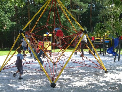 Camping Zavelbos - Camping Belgisches Limburg - Image N°2