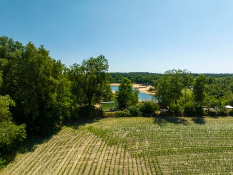 Wilsumer Berge - Niedersachsen - Image N°31
