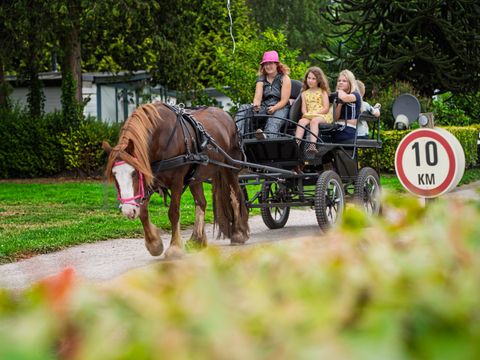 Arden Parks Tulderheyde - Antwerpen - Image N°22