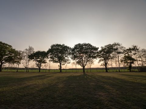 Arden Parks Tulderheyde - Antwerpen - Image N°12