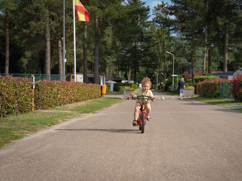 Arden Parks Tulderheyde - Antwerpen - Image N°4