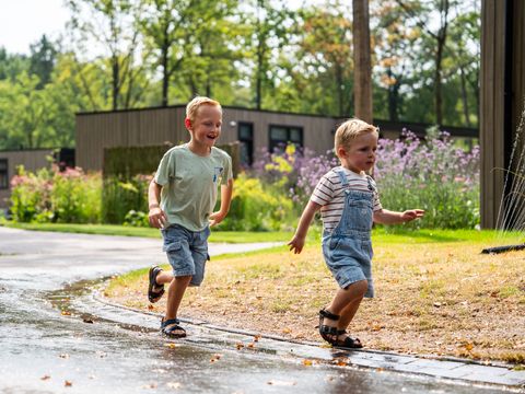 TopParken Resort de Brabantse Kempen - Reusel-De-Mierden - Image N°18