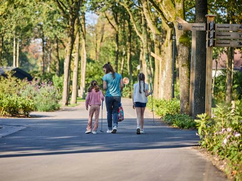 TopParken Resort de Brabantse Kempen - Reusel-De-Mierden - Image N°26