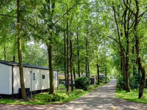 Vodatent Camping het Veen - Camping Westflandern