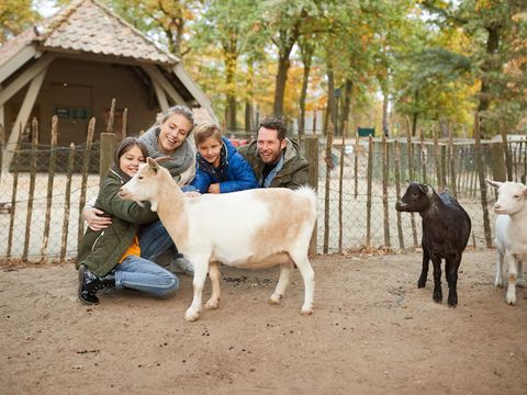 Center Parcs Nordborg Resort - Camping Süd-Dänemark - Image N°3