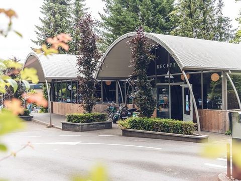 Veluwepark de Bosgraaf - Apeldoorn - Image N°4