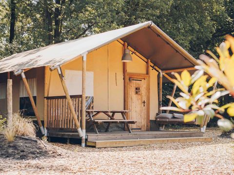Veluwepark de Bosgraaf - Apeldoorn - Image N°3