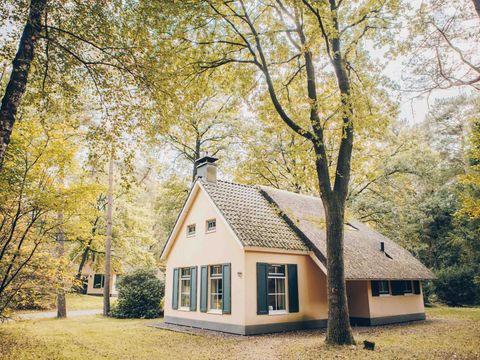 Landgoed Het Grote Zand - Mitte-Drenthe - Image N°0