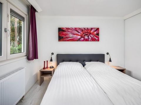 Landgoed Het Grote Zand - Mitte-Drenthe - Image N°5