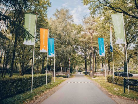 Landgoed Het Grote Zand - Camping Mitte-Drenthe - Image N°4