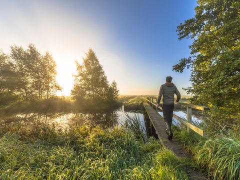Landgoed Het Grote Zand - Mitte-Drenthe - Image N°23