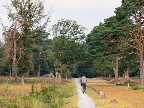 Landgoed Het Grote Zand - Mitte-Drenthe