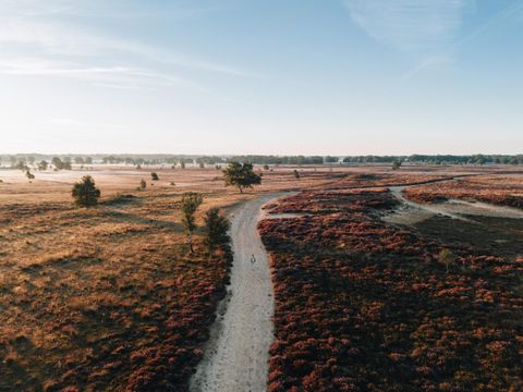 Landgoed Het Grote Zand - Mitte-Drenthe - Image N°24