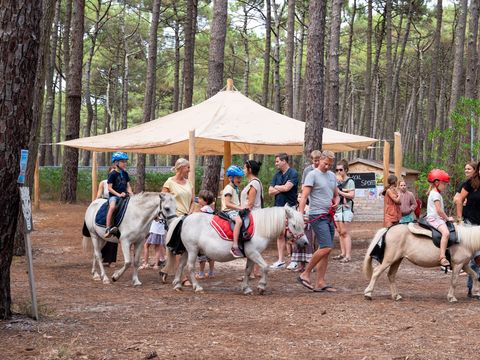  Camping Le Tedey - Gironde