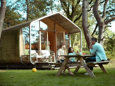 Beerze Bulten - Camping Ommen - Image N°5