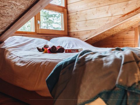 Beerze Bulten - Ommen - Image N°4