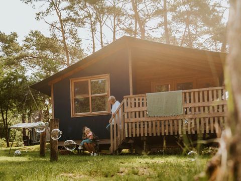 Beerze Bulten - Ommen - Image N°0