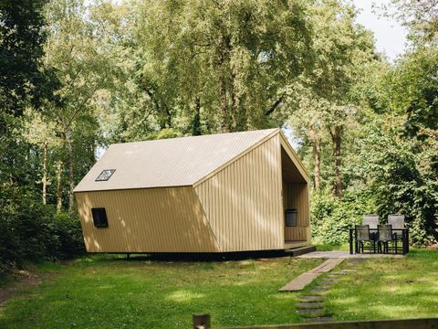 Beerze Bulten - Ommen - Image N°2