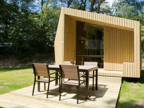 Beerze Bulten - Ommen - Image N°0