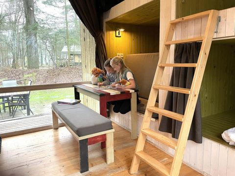 Beerze Bulten - Ommen - Image N°4