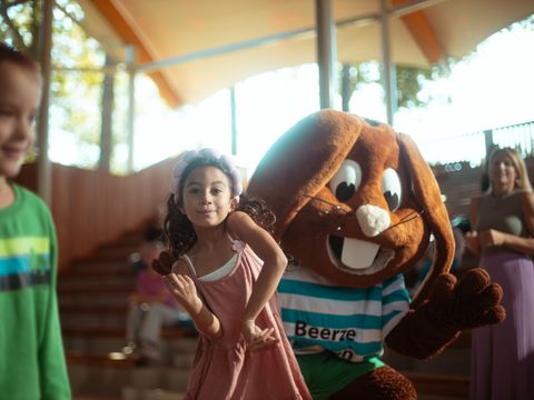 Beerze Bulten - Camping Ommen - Image N°2
