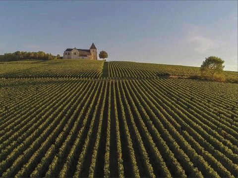 Arden Parks Signy-L'Abbaye - Ardennen - Image N°5