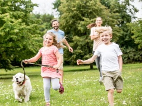 Floreal Holidays Camping Het Veen - Westflandern - Image N°3