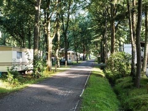 Floreal Holidays Camping Het Veen - Westflandern - Image N°4