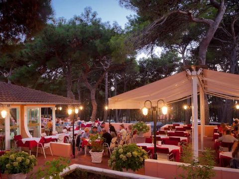 Camping Cikat - Istrien