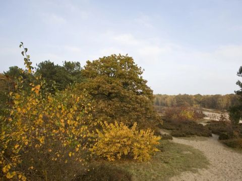 Dormio Resort De Hondsrug - Aa und Hunze - Image N°13