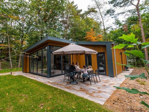 Vakantiepark De Wiltzangh - De Wolden - Image N°20