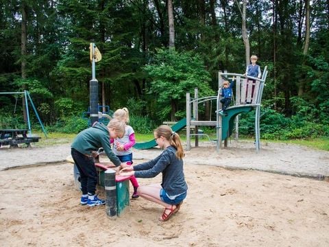 Vakantiepark De Wiltzangh - De Wolden - Image N°11