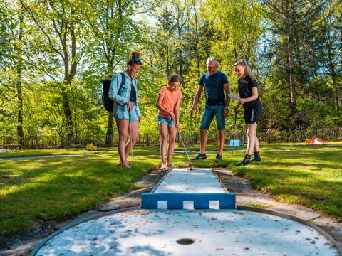 Vakantiepark De Wiltzangh - Camping De Wolden - Image N°2