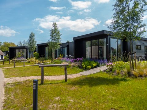 Vakantiepark De Wiedense Meren - Steenwijkerland - Image N°9