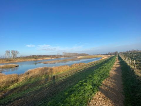 Vakantiepark De Zeeuwse Parel - Tholen - Image N°32