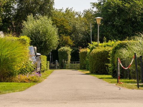 Vakantiepark De Zeeuwse Parel - Tholen - Image N°25