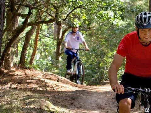 Camping Marvilla Parks - Kaatsheuvel - Loon op Zand