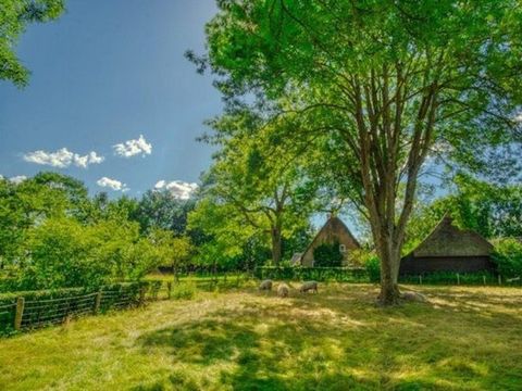 Vakantiepark De Kremmer - Aa und Hunze - Image N°22