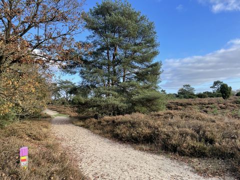 Vakantiepark De Kremmer - Aa und Hunze - Image N°25