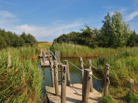 Vakantiepark de Boomgaard - Veere - Image N°46