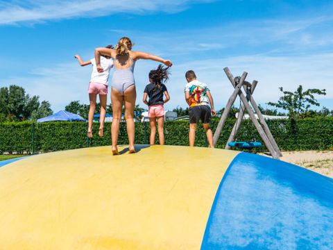 Vakantiepark de Boomgaard - Camping Veere - Image N°5